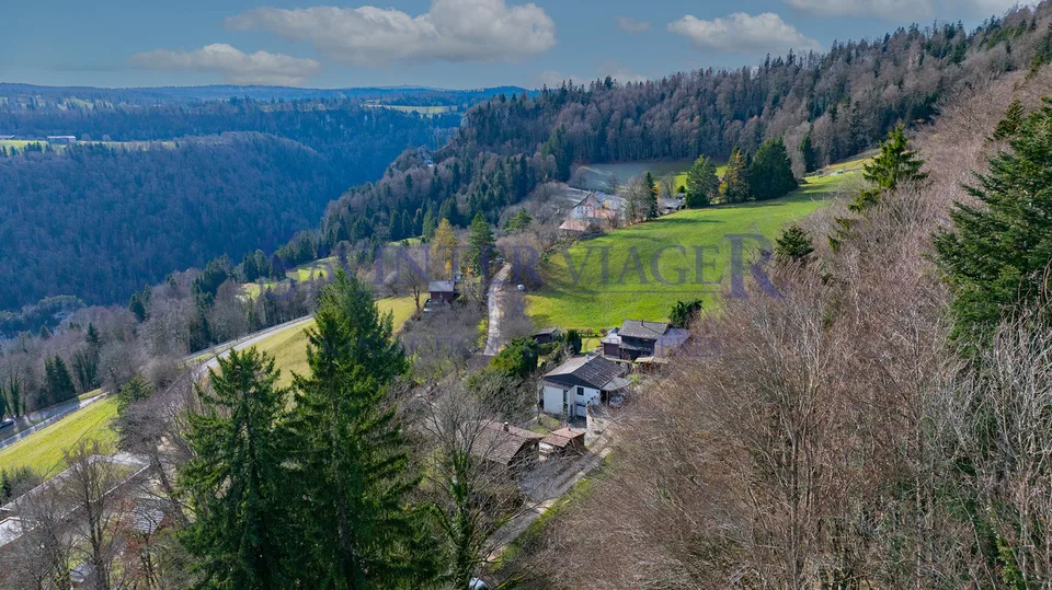 The house "Les mésanges" in occupied life annuity – photo 7 of 19