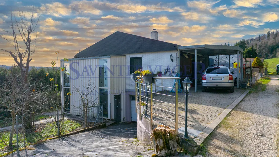 La maison "Les mésanges" en viager occupé