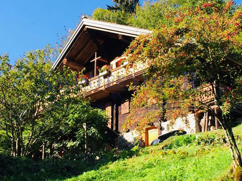 Val-d'Illiez, Für Naturliebhaber, wunderschönes Chalet in Leibrente