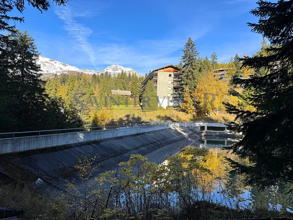 Vista magnifica. Crans-Montana. Vitalizio occupato.