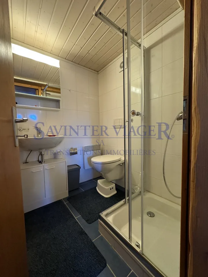 Mayens-de-Chamoson, Authentisches Chalet – Foto 22 von 23
