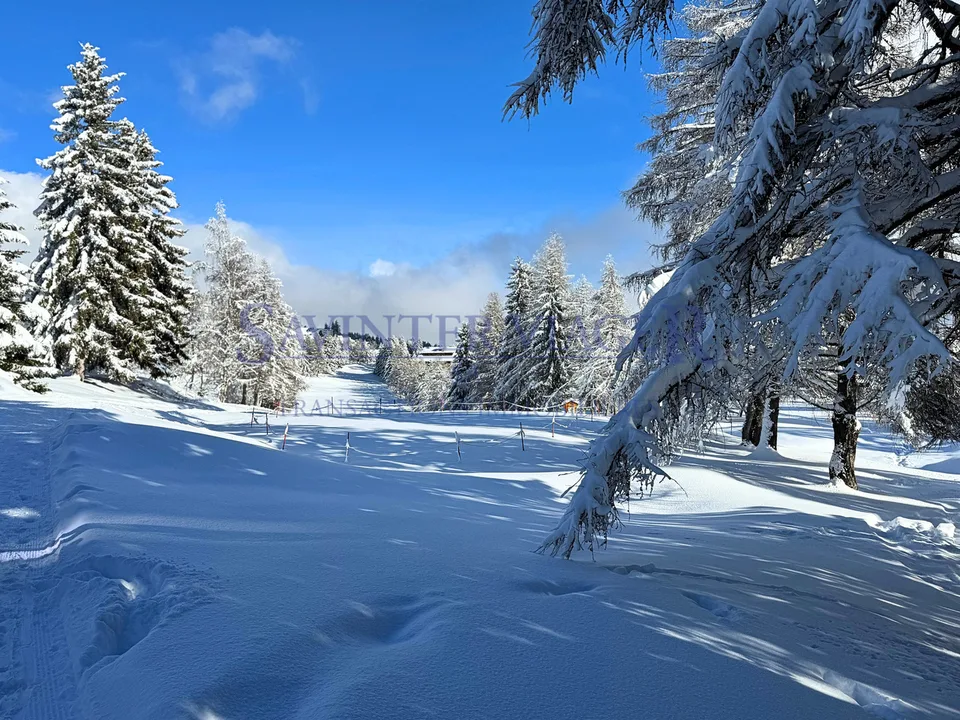 Apartment 91 m², terrace 20 m². Close to center - View Alps
