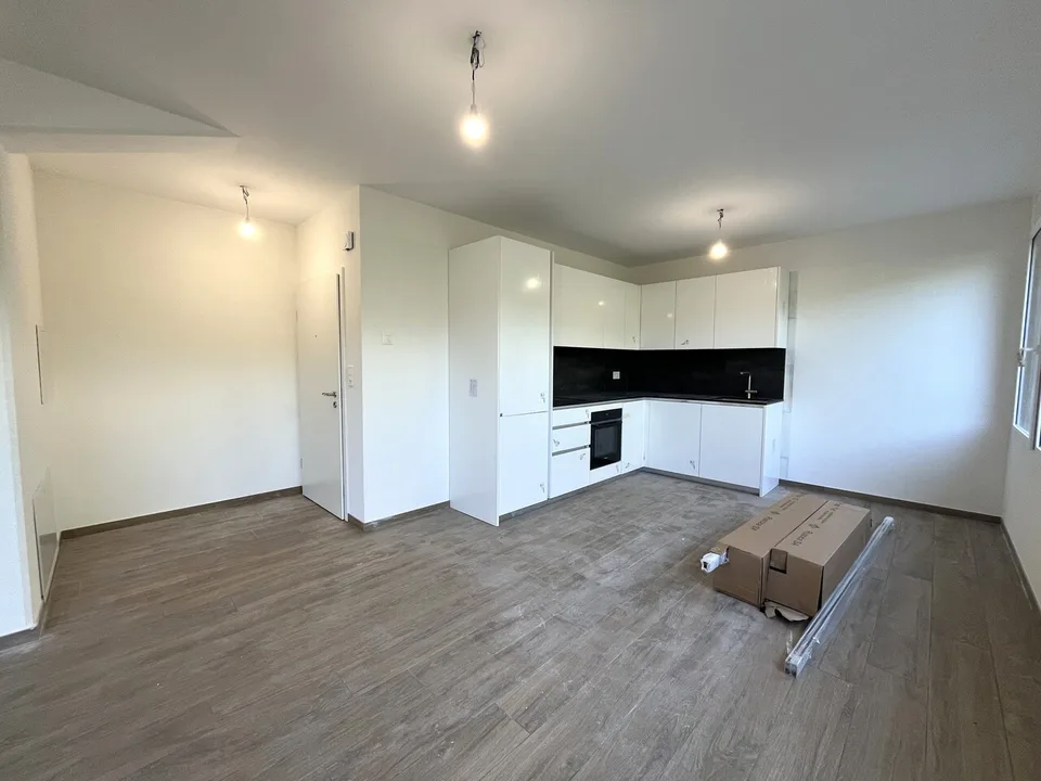 Beautiful 2-room apartment with terrace in Yens