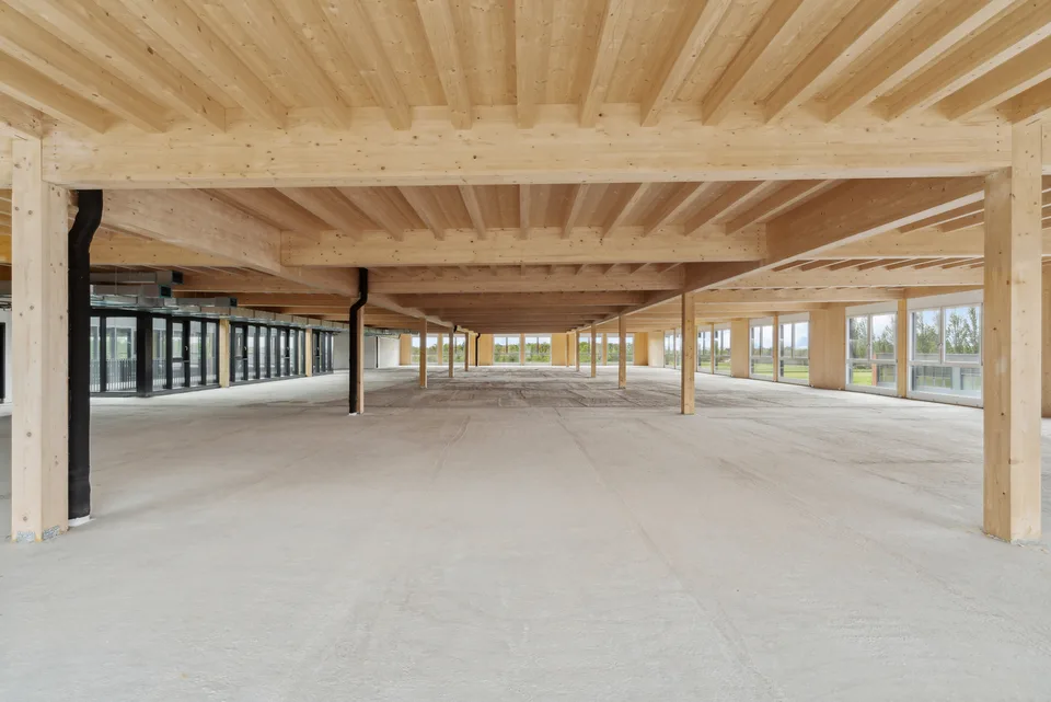 Nuovo a Gland - Grande superficie amministrativa - ufficio / 1'200m2