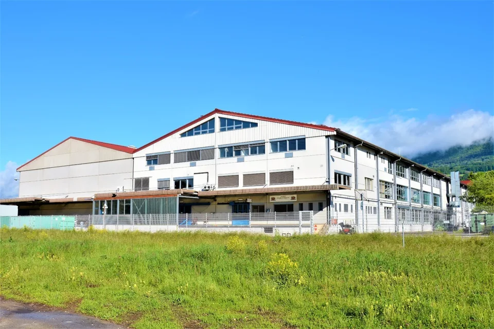 Strategische Lage - Logistikhalle 13.800 m²