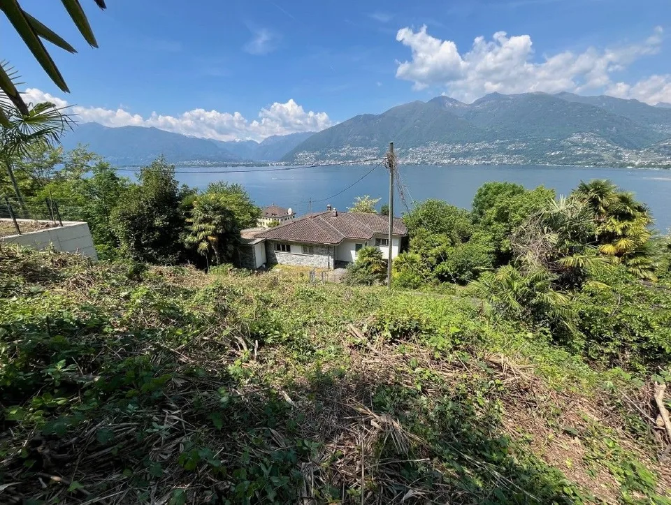 Terreno edificabile con licenza di costruzione in vendita a Gambarogno  unopportunità unica nel verde del Ticino
