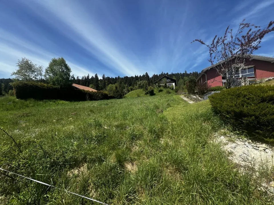 For Sale: Fully Renovated and Fully Rented Rental House