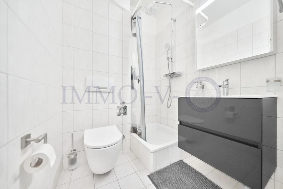 Renovated and furnished apartment with terrace - Ideal location