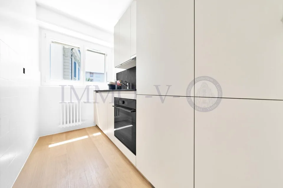 Renovated and furnished apartment with terrace - Ideal location