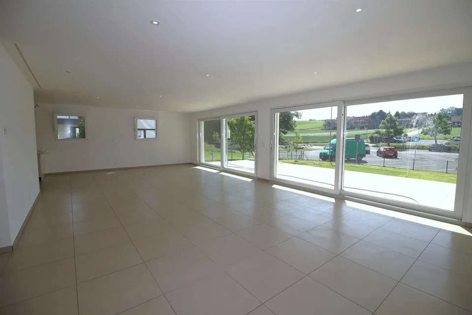Villa moderne avec grande terrasse et jardin