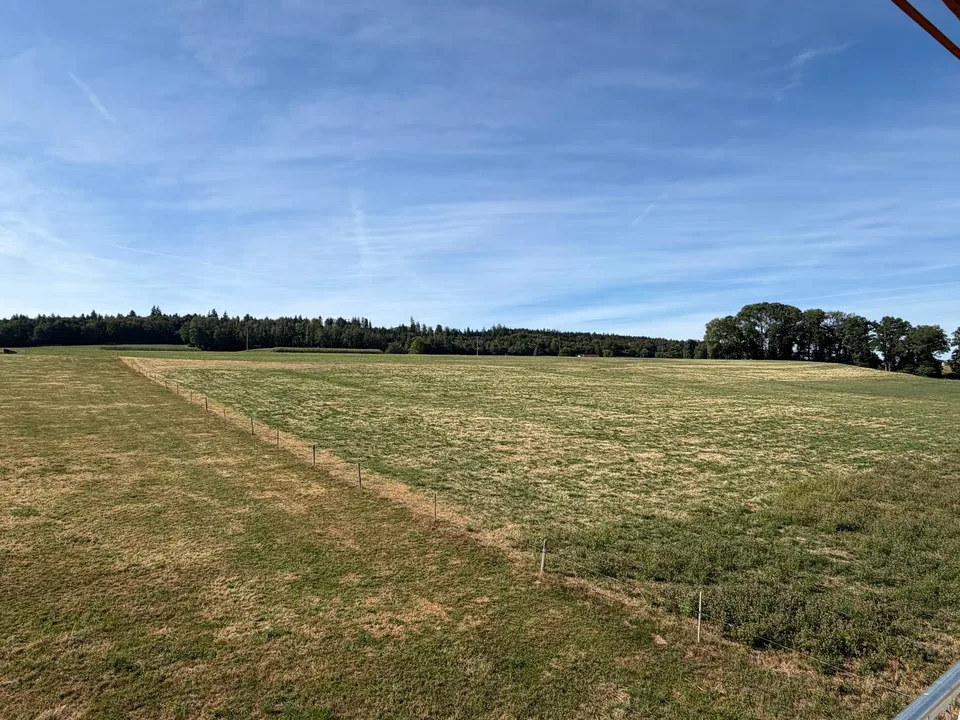 Nuovo a Lussy (FR) – foto 11 di 21
