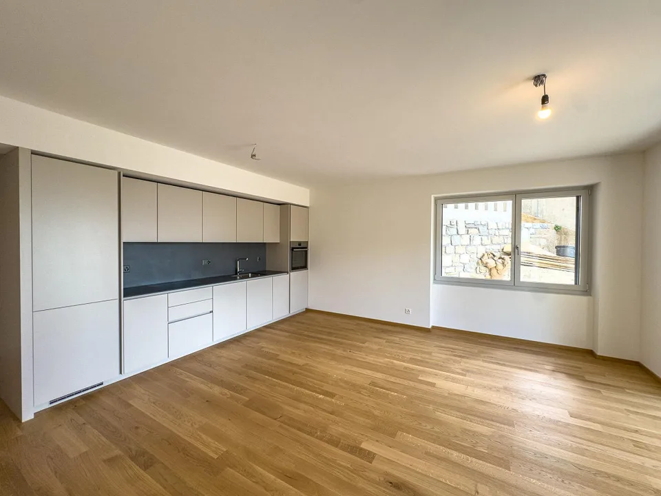 Appartement moderne 3.5 pièces avec vue sur le lac, nouvellement construit à Massagno