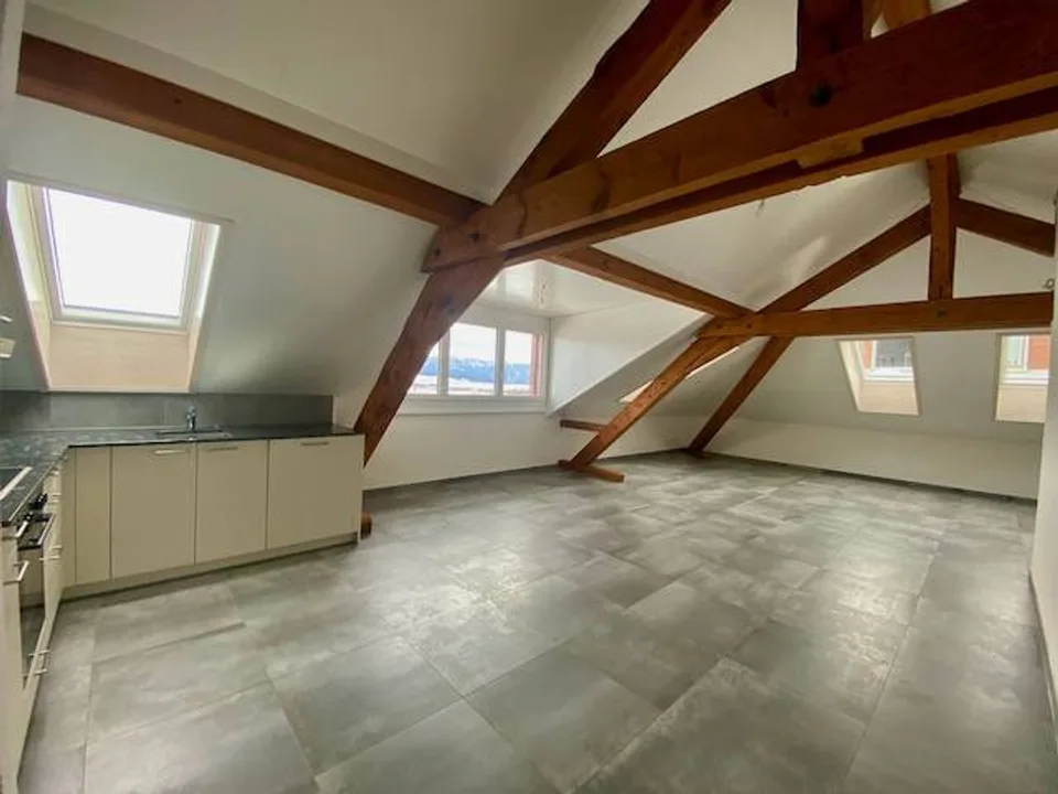 Magnifique appartement spacieux, adapté aux personnes à mobilité réduite, 3 pièces,  dans les  Combles, avec ascenceur