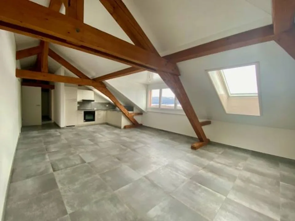 Magnifique appartement spacieux, adapté aux personnes à mobilité réduite, 3 pièces,  dans les  Combles, avec ascenceur