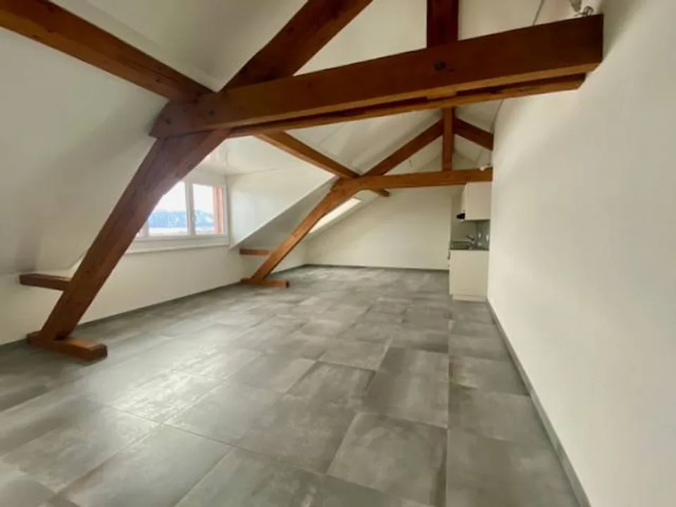 Magnifico appartamento di 2 stanze, (M), Mansarda, con ascensore