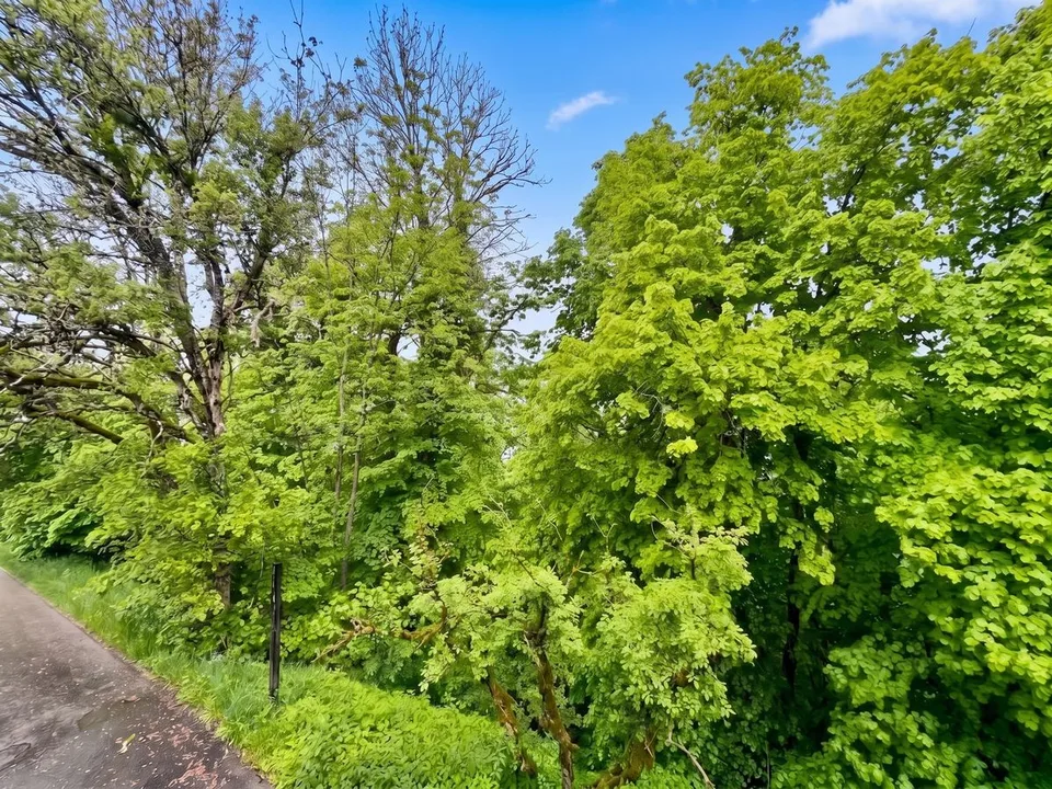 En exclusivité: Maison individuelle, à rénover aux Brenets