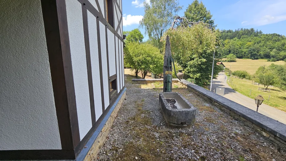 À vendre à Asuel maison de maître de 9.5 pièces terrain de 2'747 m² – photo 9 sur 13