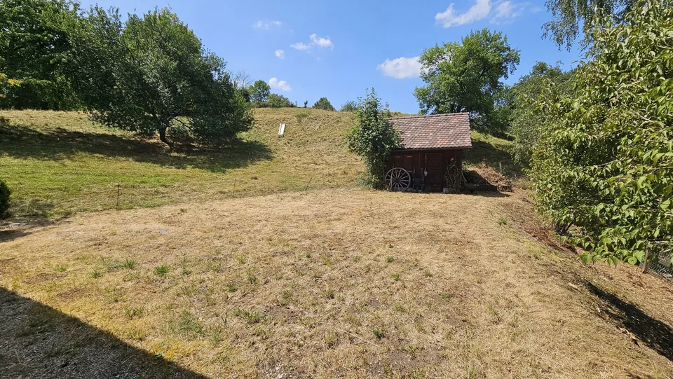 À vendre à Asuel maison de maître de 9.5 pièces terrain de 2'747 m² – photo 8 sur 13