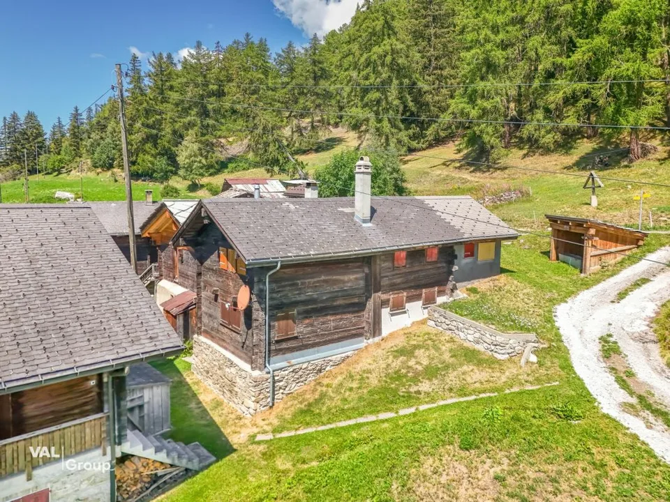 In der Stille der Natur zuhause - 3.5-Zimmer-Wohnung im Salwald