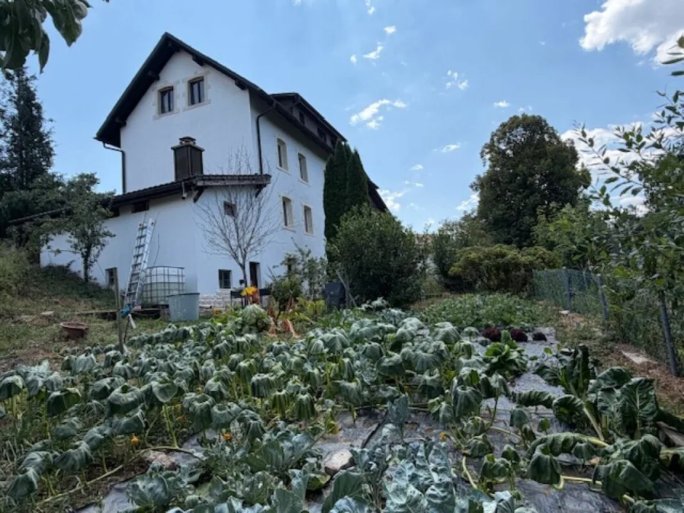 Immeuble de 5 appartements