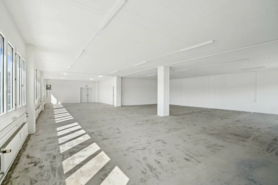 Your Success Area with Potential
