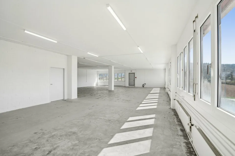 Your Success Area with Potential