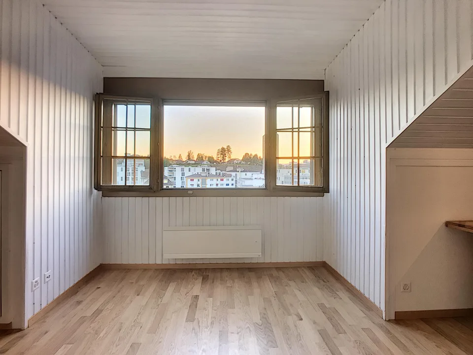Grand Studio | Pérolles 59
