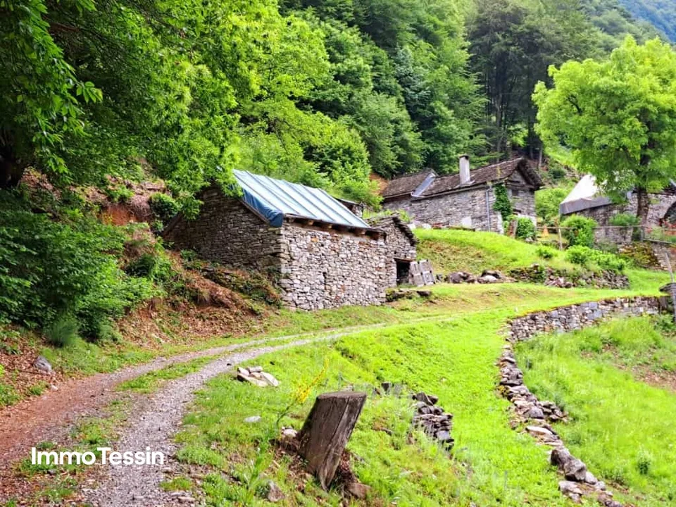 Il tuo sogno Rustico in Valle Maggia con permesso di costruzione – foto 11 di 13