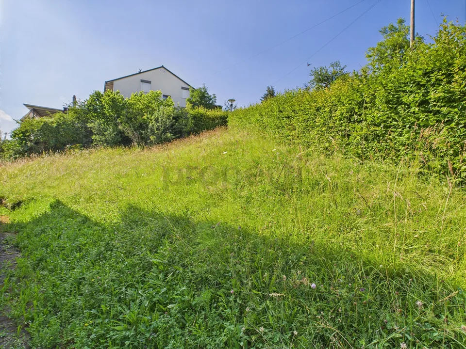 Terreno edificato a Wölflinswil