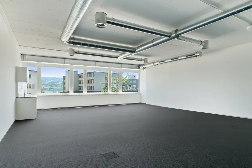 Office and commercial spaces with lake view and flexible sizes as needed