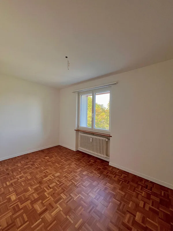 Prima locazione - Bellissimi appartamenti a Oberglatt!
