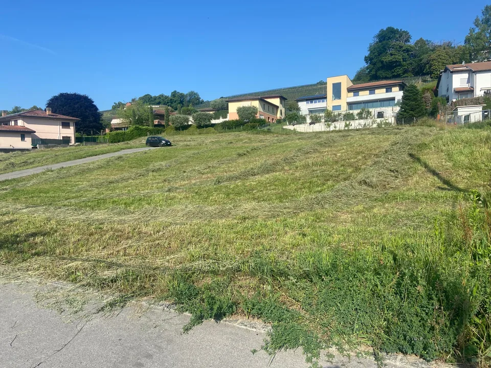 GRANDE PORZIONE DI TERRENO PER UNA AMPIA VILLA A STABIO