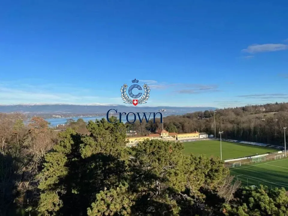 Spectacular view in Cologny