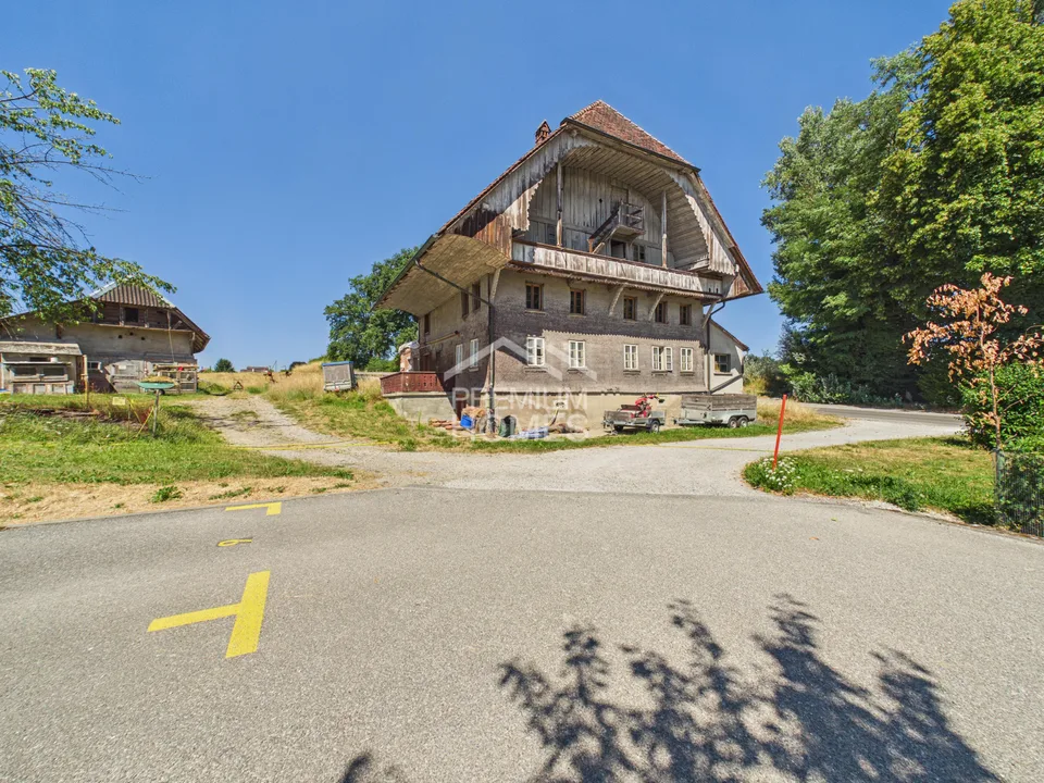Charaktervolles Bauernhaus mit Entwicklungspotential