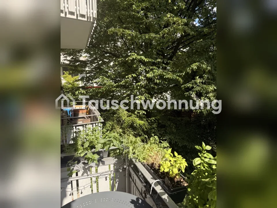 Appartamento 2,5 locali con due balconi in posizione tranquilla – foto 12 di 13