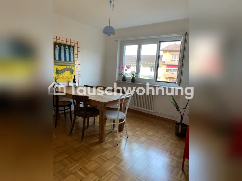 Gemütliche 3-Zimmer-Wohnung in Zürich, Kreis 3