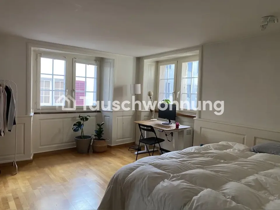 Cozy 3 room apartment in Zurich center with terrase