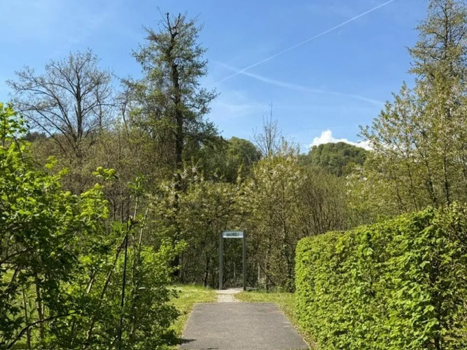 Living with a View - Dreamlike View into the Green