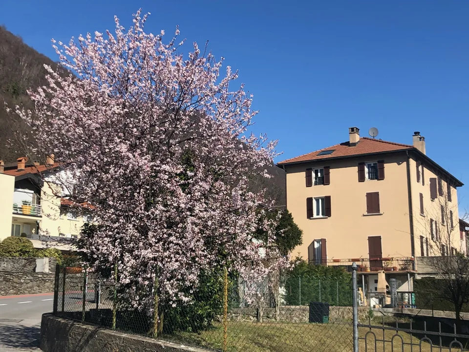 Welcoming and Bright 4.5 Rooms on the Top Floor in Bedano