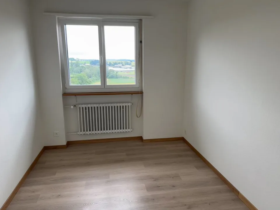 Frisch sanierte, helle und grosse Wohnung in ruhigem Quartier