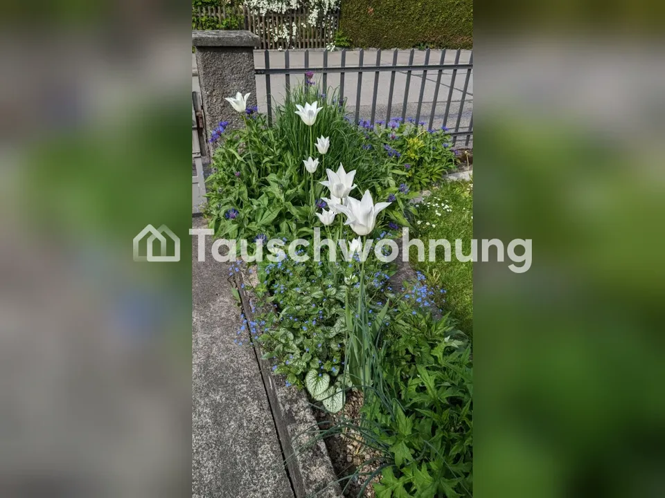 3 Zimmer Erdgeschosswohnung in Winterthur – Foto 10 von 11