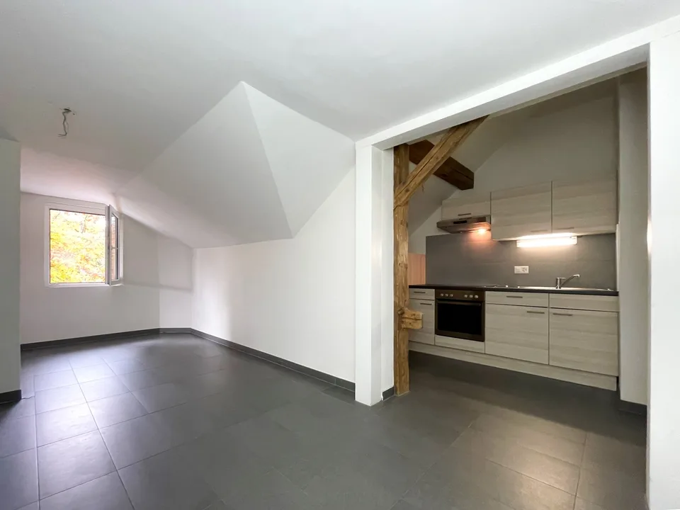 Large studio with separate kitchen - Cugy (VD)