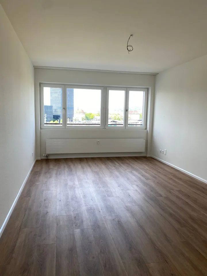 Beautiful 1-room apartment near SBB train station