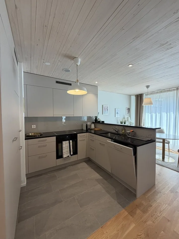 Moderne möblierte 1.5 Zimmer Wohnung in Allschwil