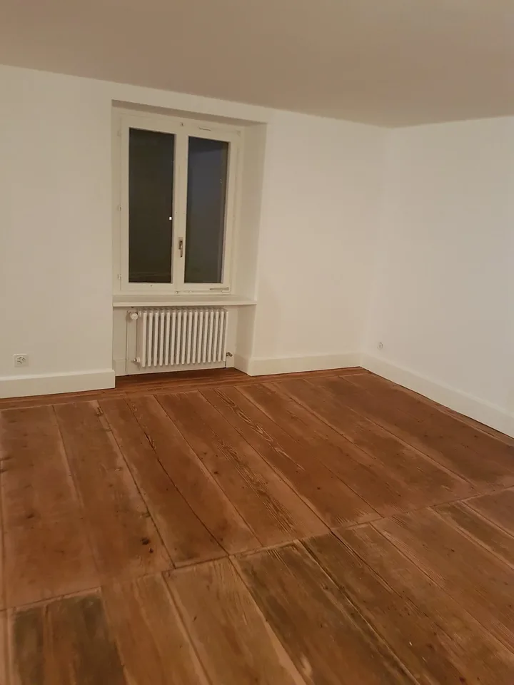 Beautiful, modern old apartment with old, refreshed long strip wooden floor in the village center