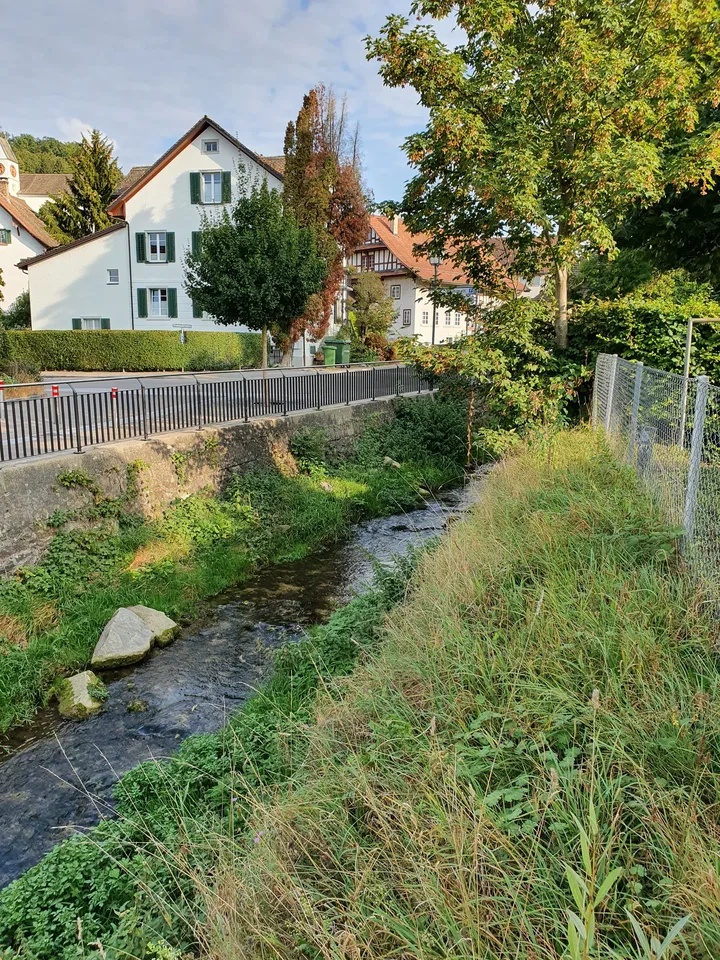 Appartement moderne et méditerranéen de 3 pièces au cœur de Birmensdorf ZH