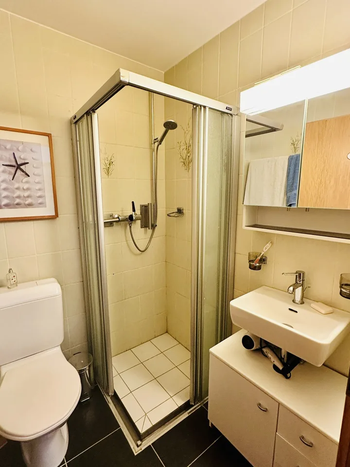 Charmante 4,5-Zimmer-Wohnung in Chermignon d'en bas