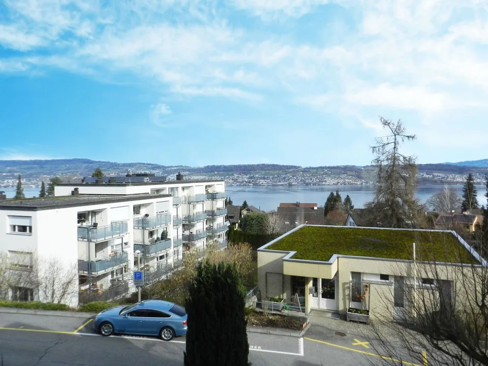 Ankommen und wohlfühlen mit Blick auf den Zürichsee