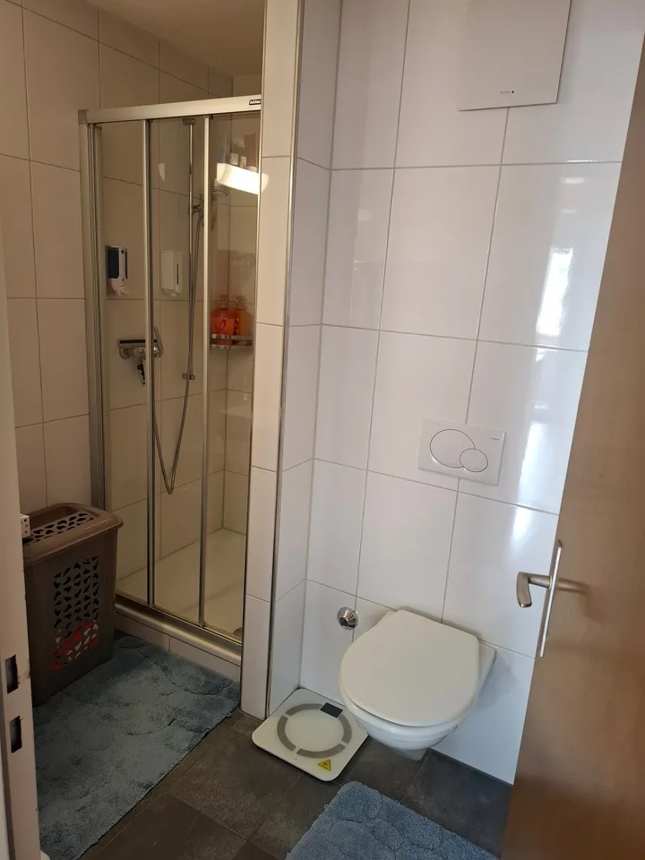 5.5-Zimmer-Wohnung mit Bergblick in Wassen