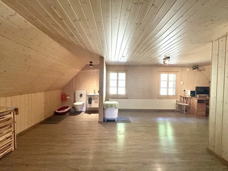Casa unifamiliare modernizzata con annesso di nuova costruzione di alta qualità e 3 posti auto!